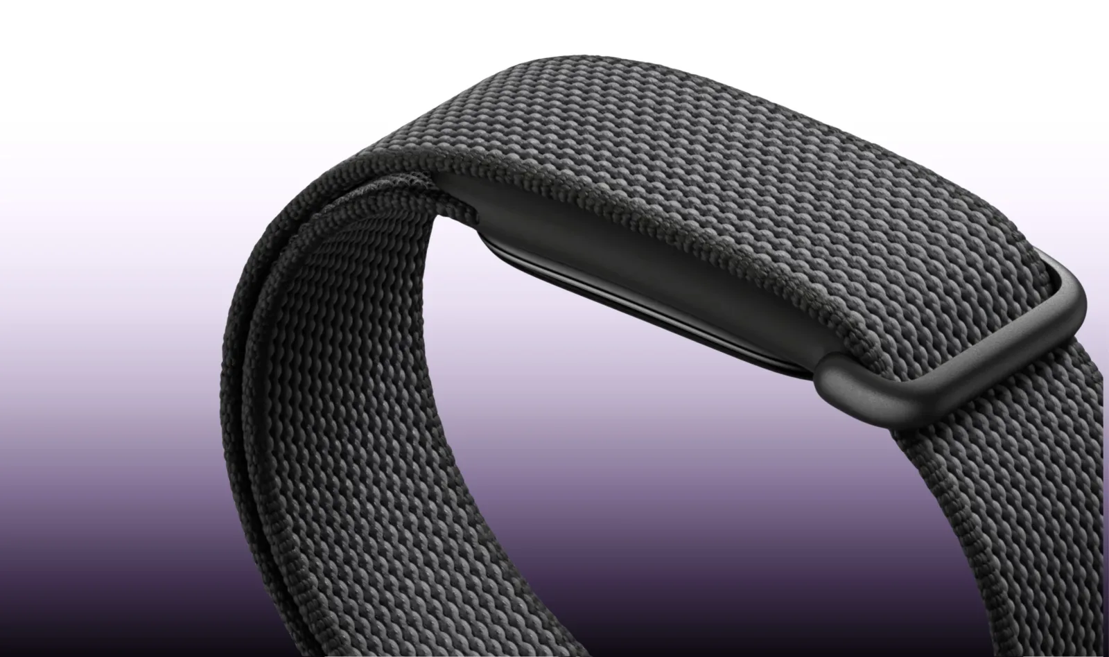 Google Fitbit Air