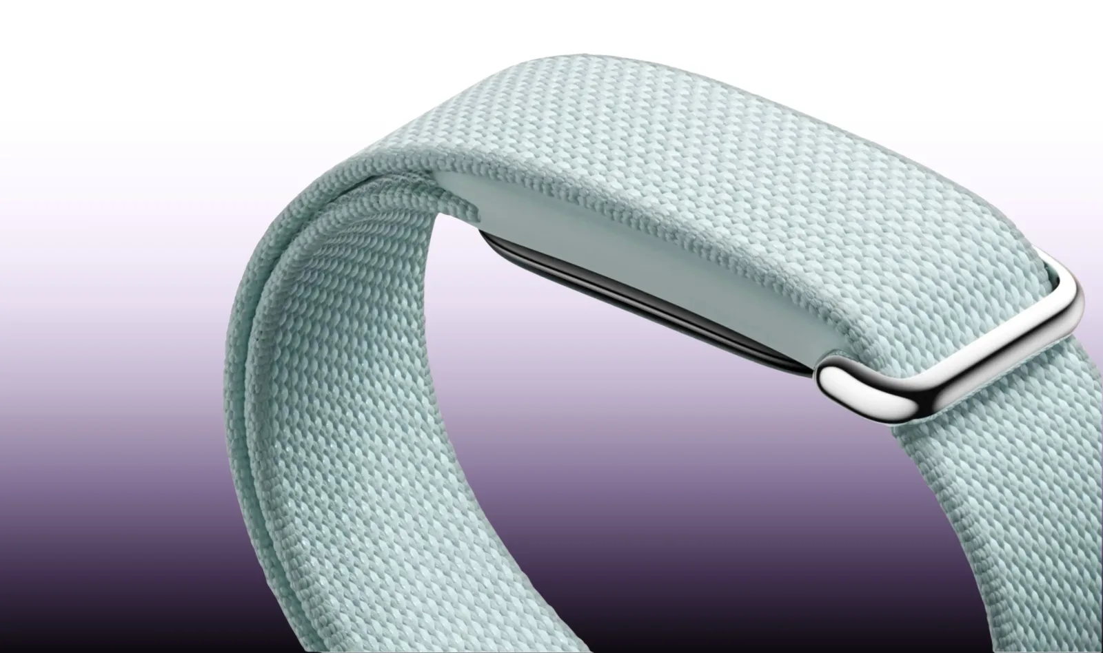 Google Fitbit Air