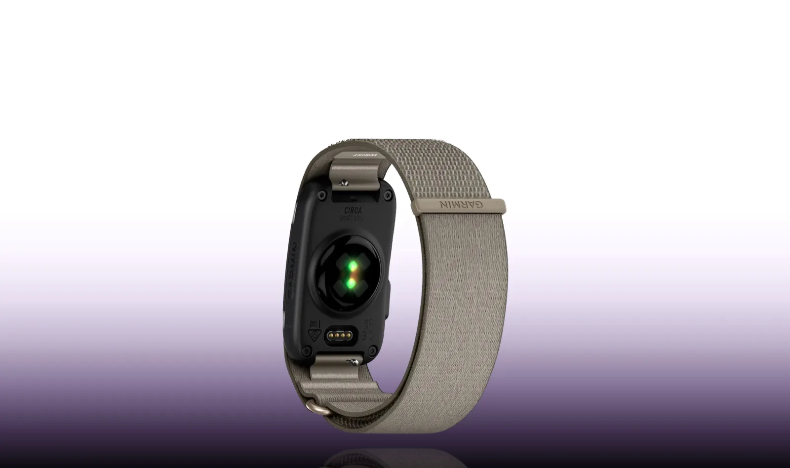 Garmin Cirqa