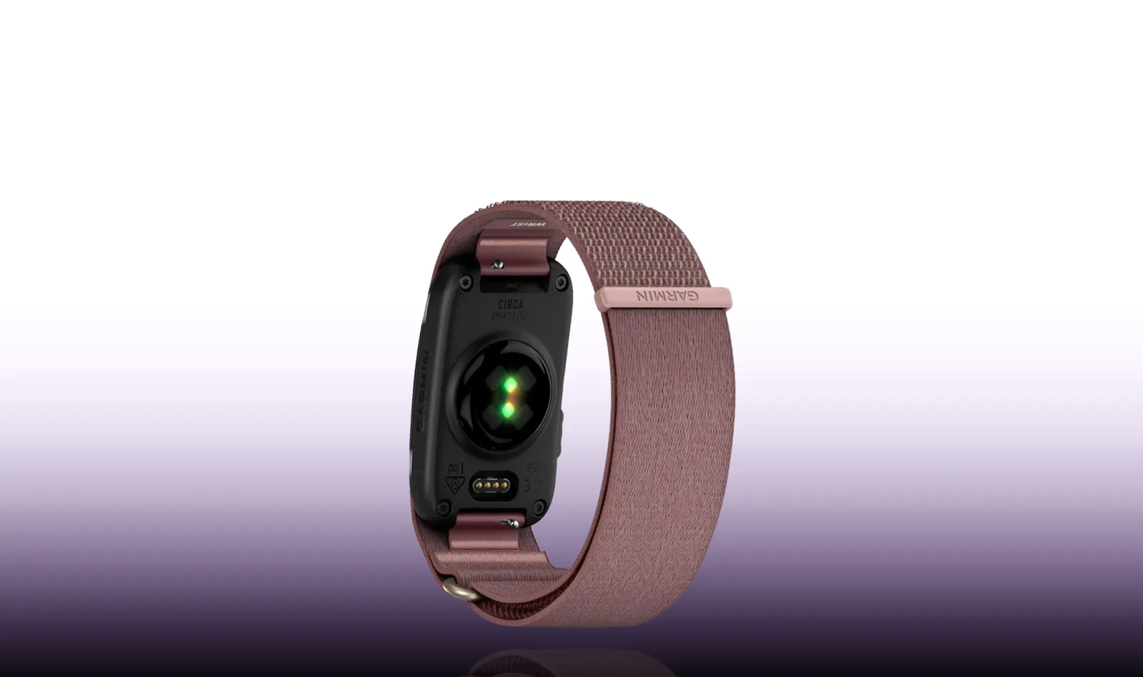 Garmin Cirqa