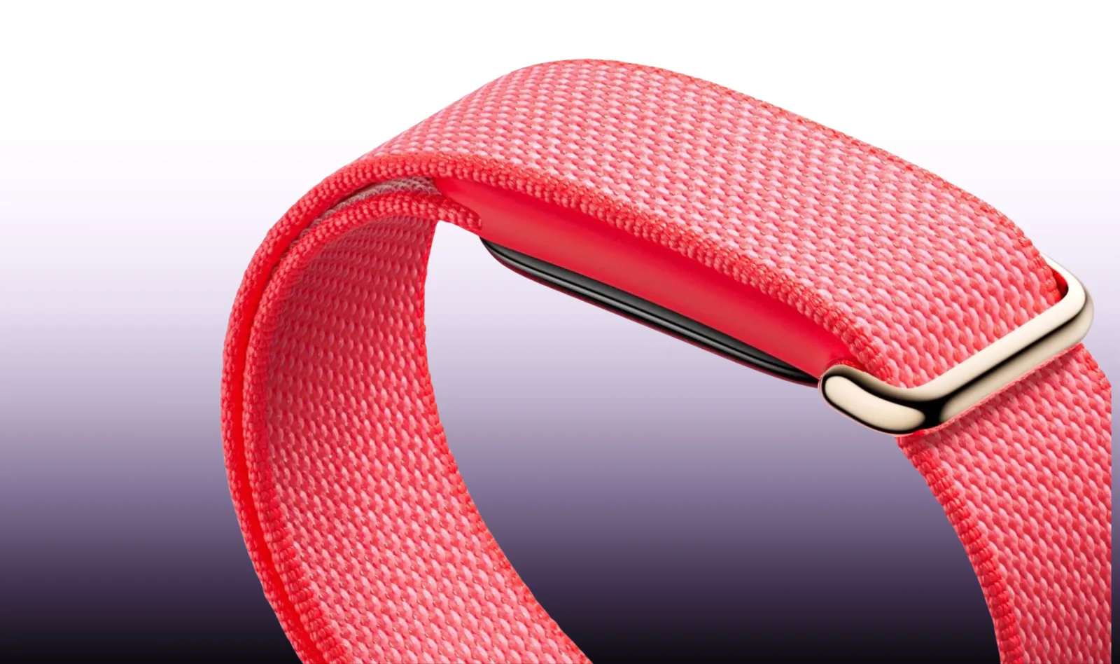 Google Fitbit Air
