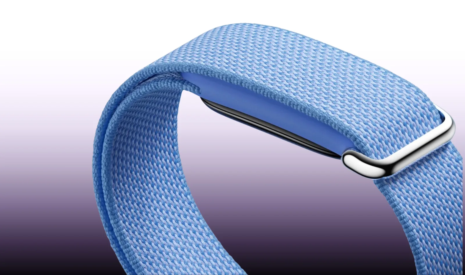 Google Fitbit Air